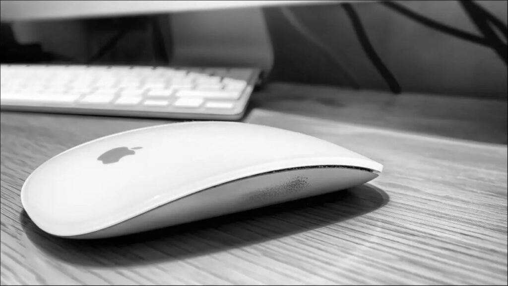 magic mouse